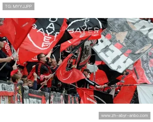 德甲球队主场观众人数统计及球迷热情分析