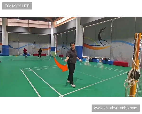 羽毛球网挑球 羽毛球网挑球