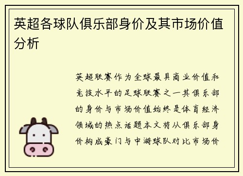 英超各球队俱乐部身价及其市场价值分析